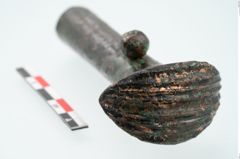 Foto von Bronzeortband (NHMW-PRAE-025481)